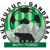 FK瓦尼